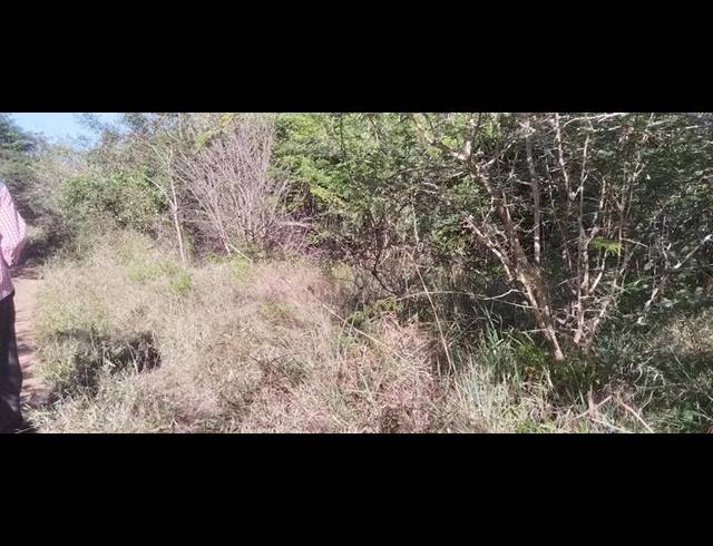 FARM FOR SALE IN TSWINGA
